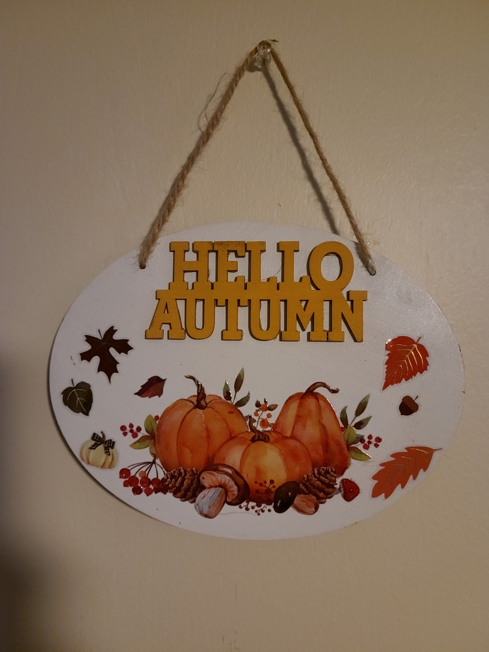 Hello Autumn Pumpkin Wall Plaque - White and Orange